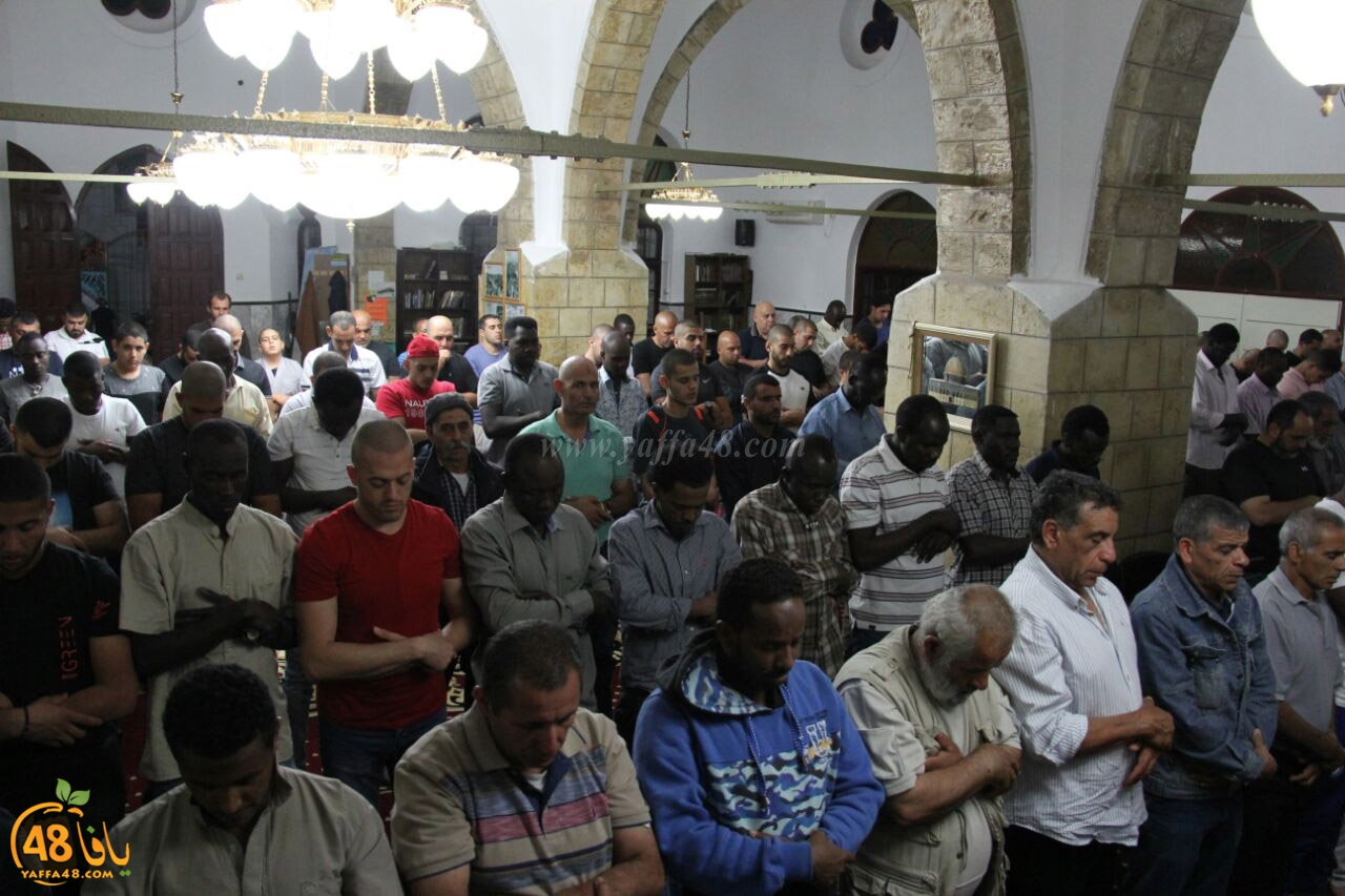 trawe7 salahsaj (36).jpg